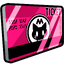 Miscmetroticketpink.png